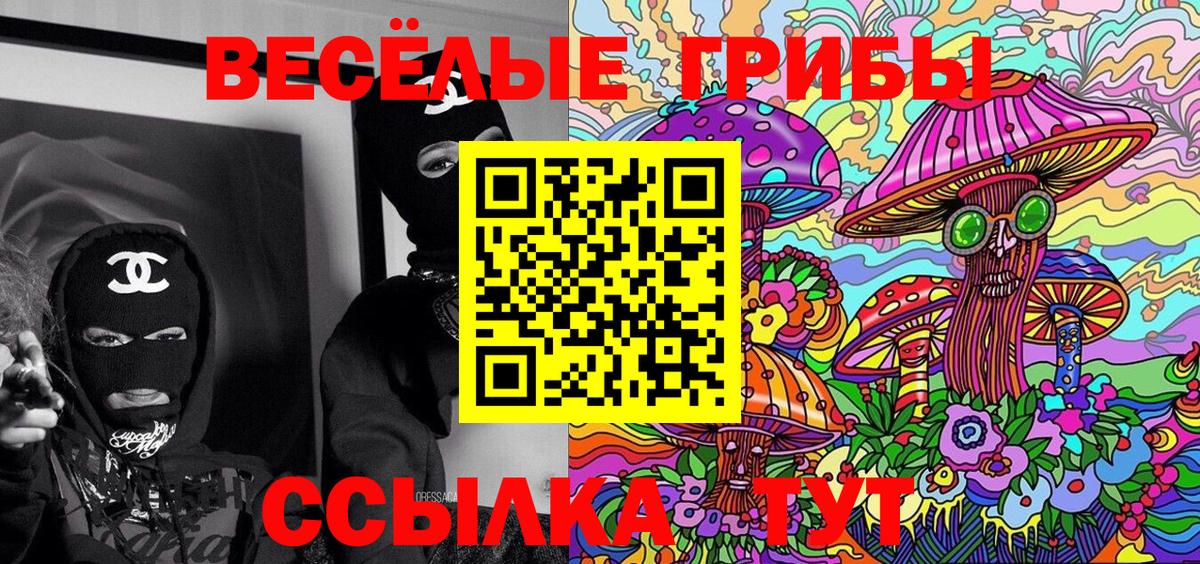 Псилоцибиновые грибы Psilocybe Кстово