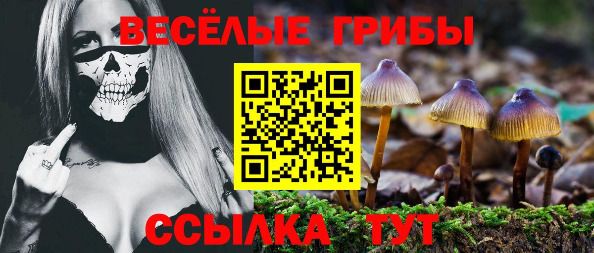 Псилоцибиновые грибы мухоморы  Вход с VPN  Псилоцибиновые грибы Magic Shrooms  Кстово 